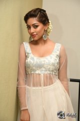 Anu Emmanuel at Kittu Unnaadu Jagratha Movie Gummadikaya Function